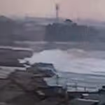 3055203