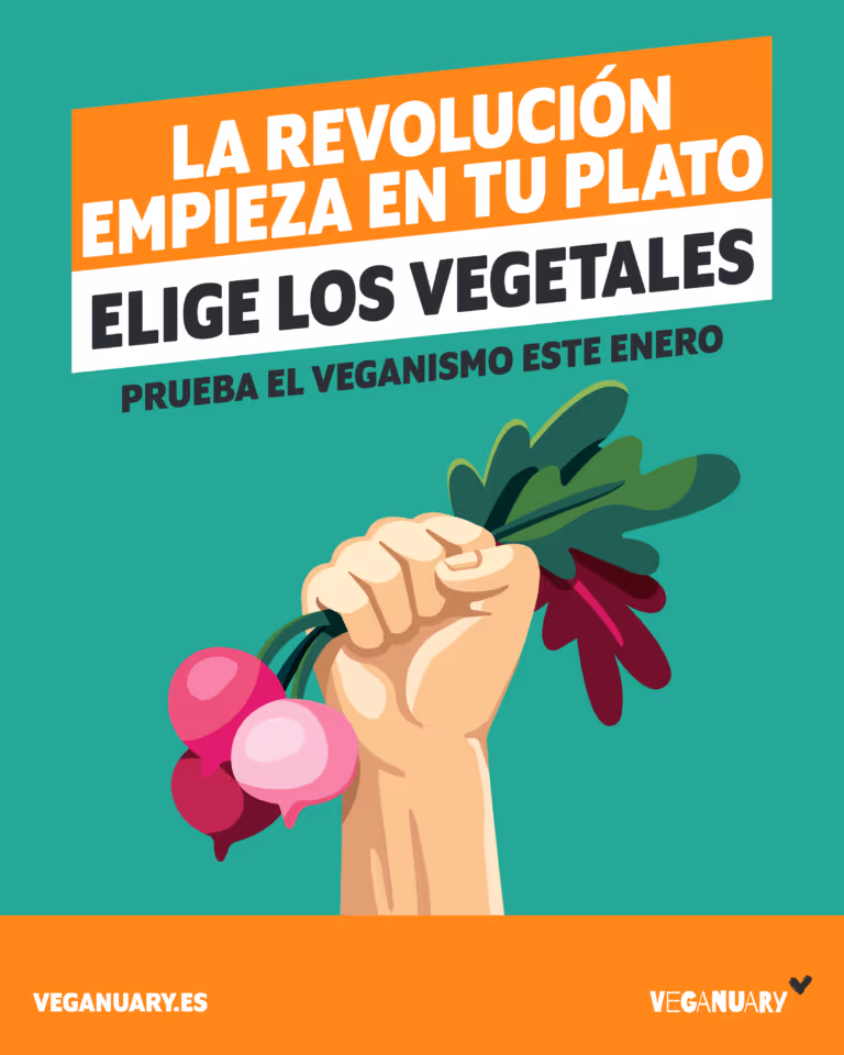 Enero_Vegano_2024_2_1