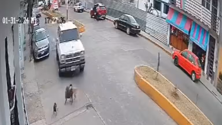 Video-Automovilista-arrolla-a-perrito-a-proposito-en-Jilotepec
