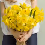 64f7383f26338