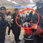 Cuervo-en-el-Metro-de-la-CDMX-1