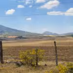 Evitar cambios de uso de suelo y trabajo en unidad para poder producir agua en sus bosques solicitan comuneros de la Meseta Purépecha