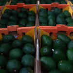 agro-superavit-sader
