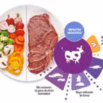 alimentos