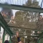 hombre_intenta_lanzarse_desde_puente_peatonal