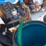 sacmex-agua-potable-si-hay-material-gasolina