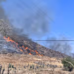 Está deforestado el 70% de la zona Sierra Costa de Michoacán; este año se han perdido 9 mil hectáreas por incendios en Coalcomán