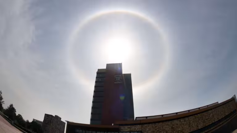 Halo-Solar-1