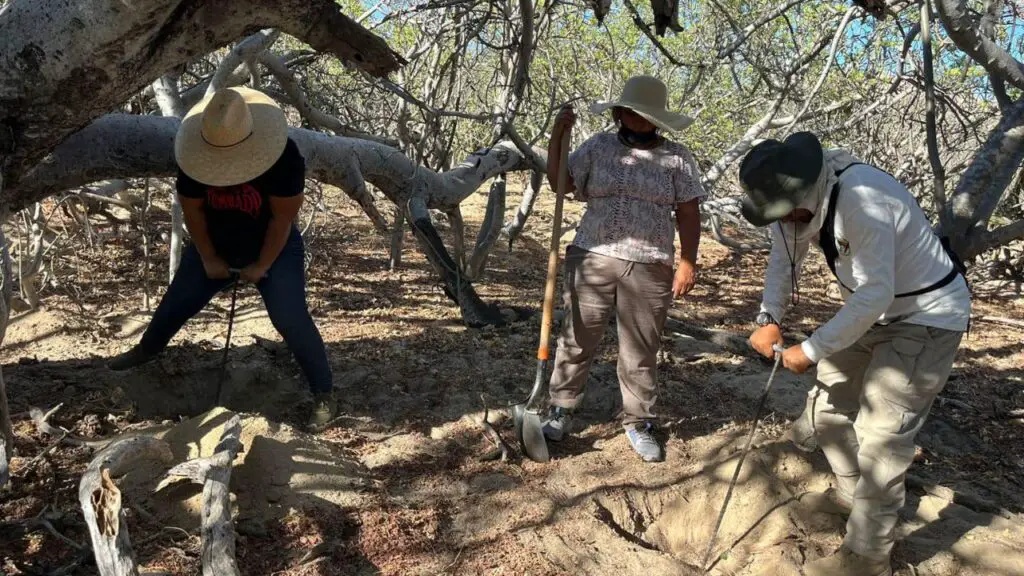 fosas-baja-California