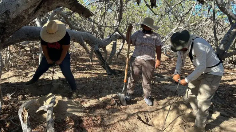 fosas-baja-California