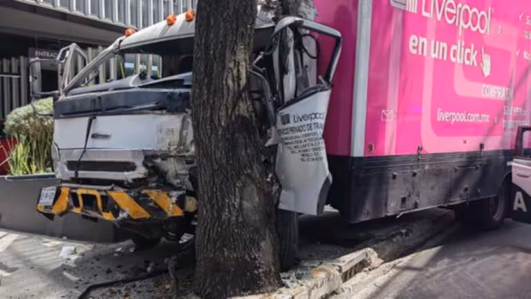 Camion-de-carga-choca