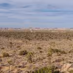 Desierto