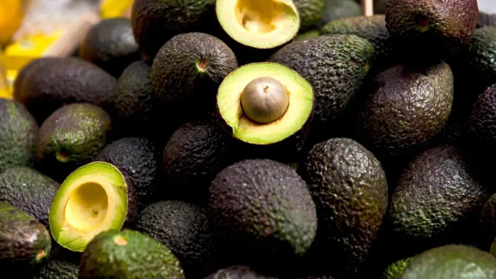 exportación-de-aguacate