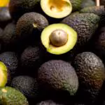 exportación-de-aguacate