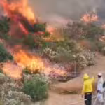incendio-valle-de-guadalupe-baja-california-afecta-mas-de-800-hectareas