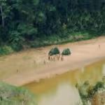 peru_activa_protocolo_de_actuacion_tras_avistamiento_de_un_pueblo_indigena_en_aislamiento