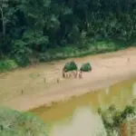 peru_activa_protocolo_de_actuacion_tras_avistamiento_de_un_pueblo_indigena_en_aislamiento