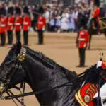princesa-ana-inglaterra-hospitalizada-heridas-leves-incidente-golpeada-caballo