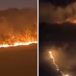 video-fuerte-incendio-en-subida-a-chalma-moviliza-brigadas-de-rescate