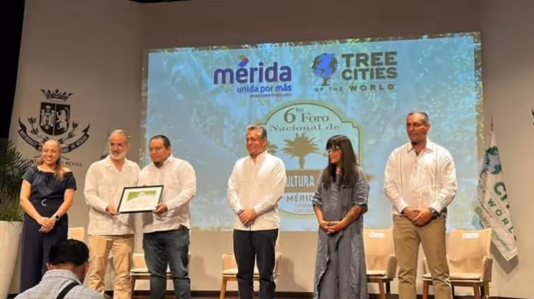 tlalpanciudadarbol