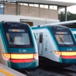 tren_maya_reanuda_operaciones_tras_el_golpe_del_ciclon_beryl