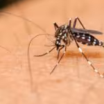 Dengue-Michoacán