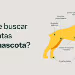 Imagen de WhatsApp 2024-08-26 a las 19.47.45_7d4f421e