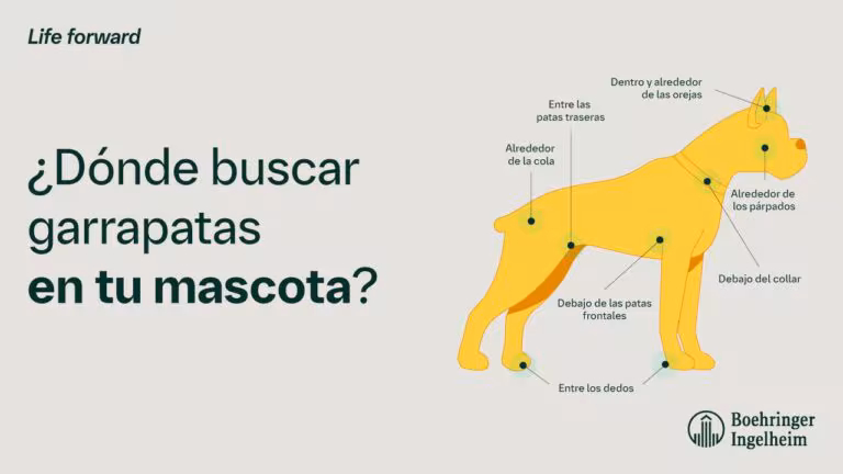 Imagen de WhatsApp 2024-08-26 a las 19.47.45_7d4f421e