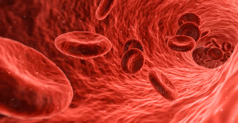 iron-deficiency-anemia-causes-diets-treatments-3