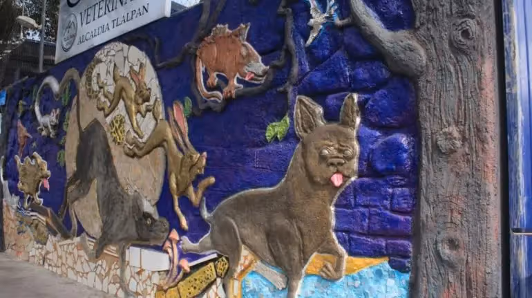 tlalpan-murales-alfa-gonzalez