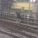 metro-GUelatao
