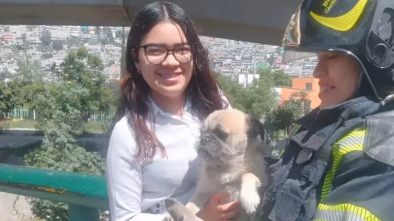 perro_rescatado_acueducto_de_guadalupe