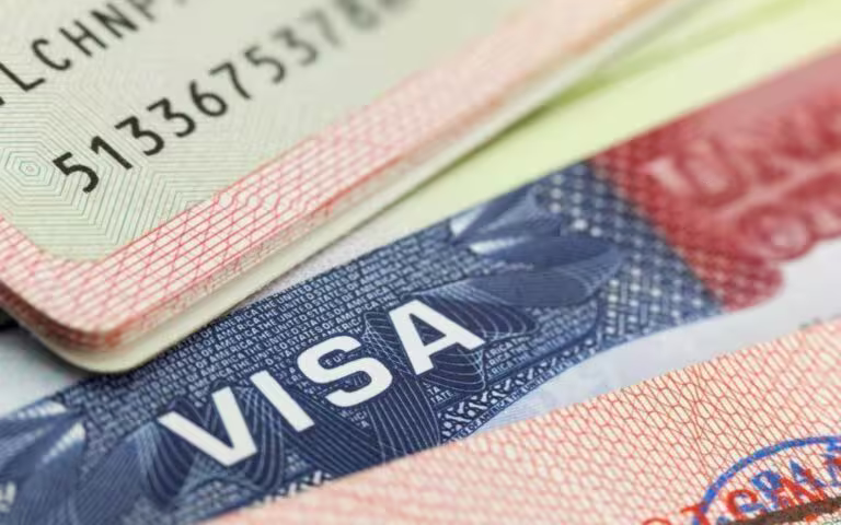visa_1491