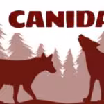 canida_1935