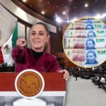 reduciondepenciones_2005