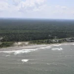 01affd0aea2a415aaa8ce5b5cfbc89e2