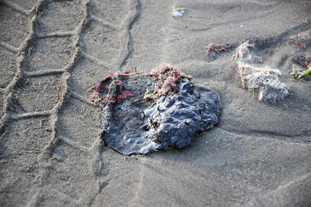 México recoge 128 toneladas de residuos y da ayuda para afectados por derrame en el Golfo