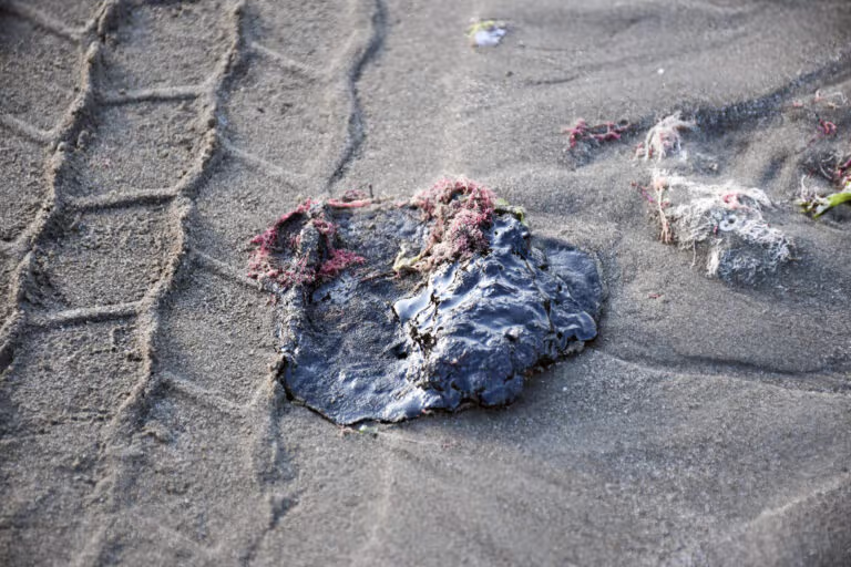 México recoge 128 toneladas de residuos y da ayuda para afectados por derrame en el Golfo