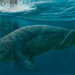 2819bed719a44a6e9d3b3b7605808830