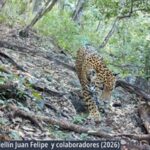 3509c2ca2a874ada9432ef6b2be38194