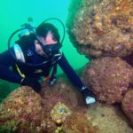 3ca3e7eb99194683904588914e7c55c5