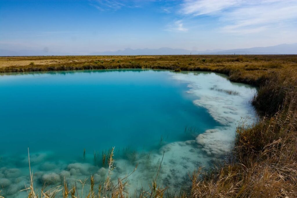 4a34eddafc0647789fc8a31b7a869e75