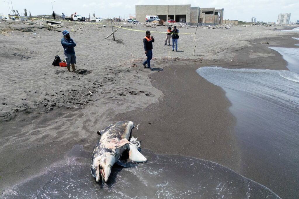 505caab316e6431ea119f4854c4875fe