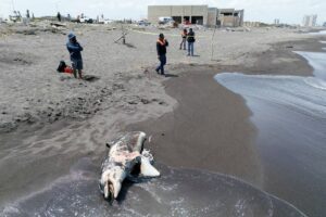 505caab316e6431ea119f4854c4875fe