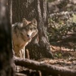 7053e6f276e04e8ab745b1e771ab2214