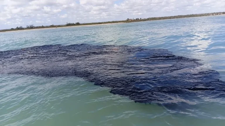 7bcc8c93e18842c196bd84512a607f59