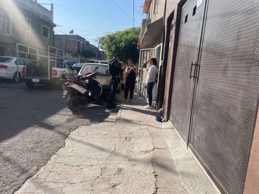 87d13bc0448546d08653e2fd6d6c44d8