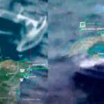 88e5f175c2144e6eb977ba87a419a991