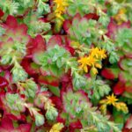 8fe36463ea004eda9b76280a7e022627