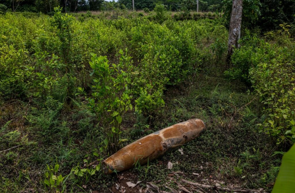 ab2de5dd67a14bcf8fa5152e0b9ff113